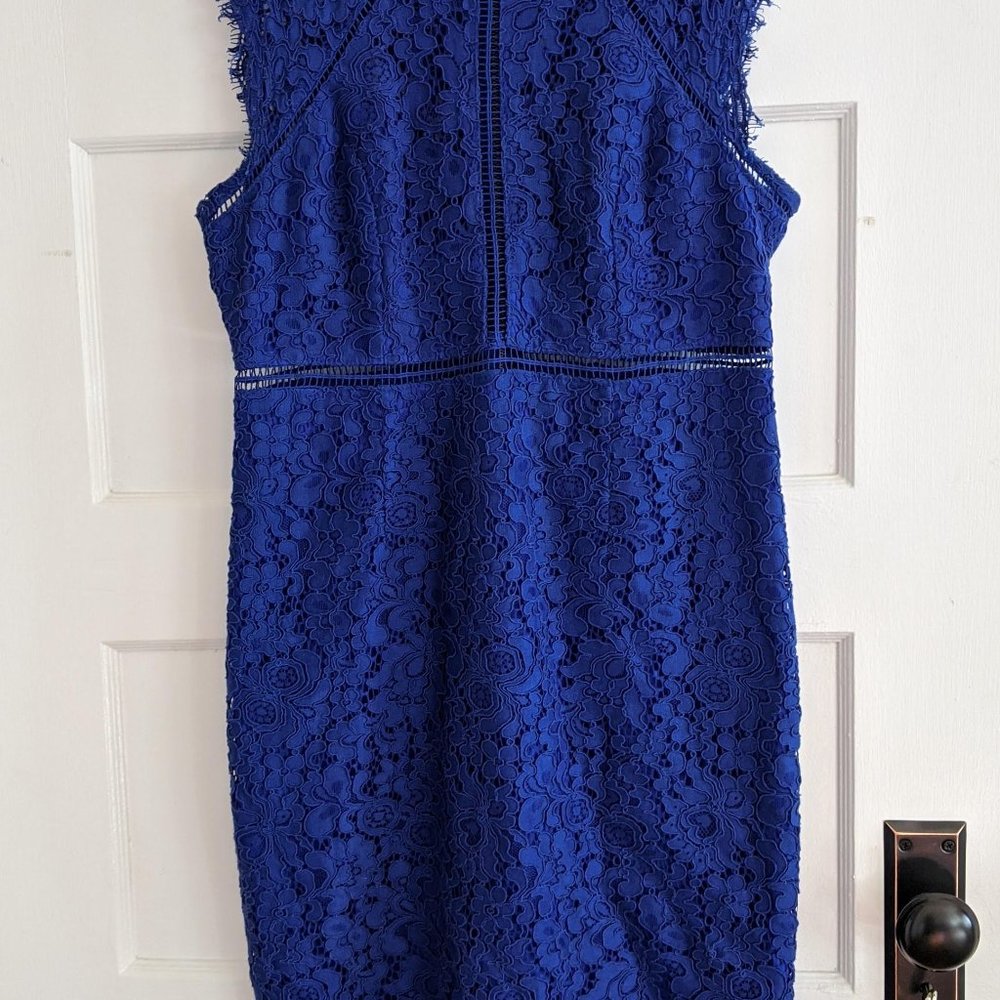 Cobalt Blue Bardot Lace Sheath Dress